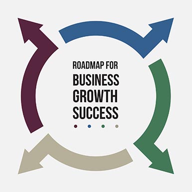 Cycle Infographic: Navigating Rapid Growth